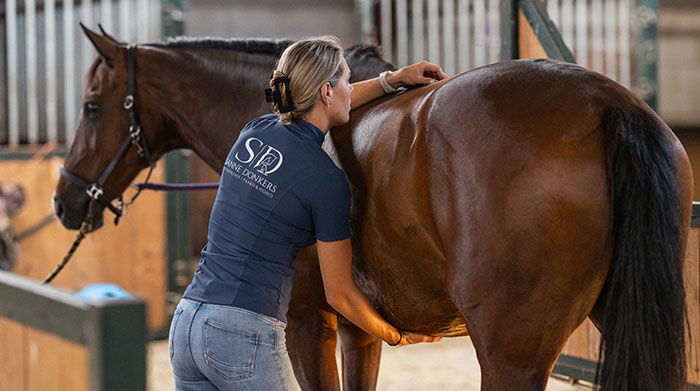 Osteopathie voor paarden